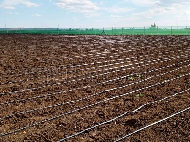 Ferme vente à Ben Slimane, Chaouia-Ouardigha