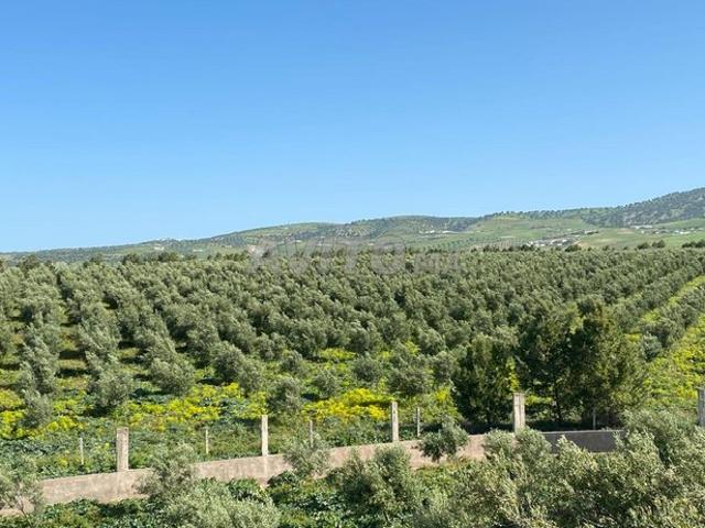 Propriété vente à Fès