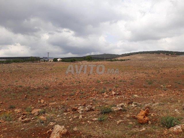 Propriété vente à Ifrane