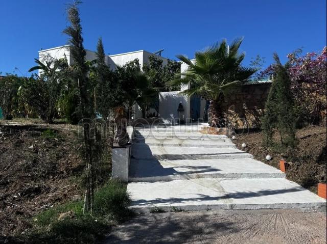 Ferme vente à Ouazzane, Tanger-Tétouan