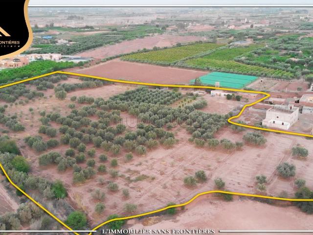 Ferme vente à Marrakech, L'Oriental