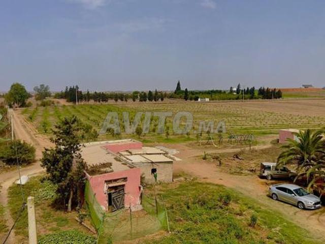 Propriété vente à Sidi Allal El Bahraoui