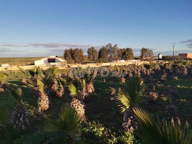 Propriété vente à Mohammedia, Gharb-Chrarda-Beni Hssen