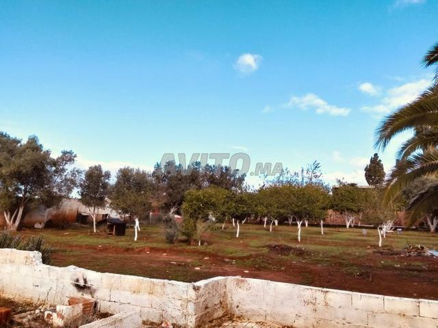 Propriété vente à Rbat