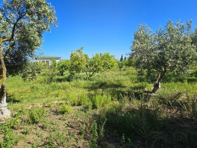Ferme vente à Sidi Allal El Bahraoui