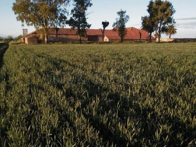 Ferme vente à El Hajeb
