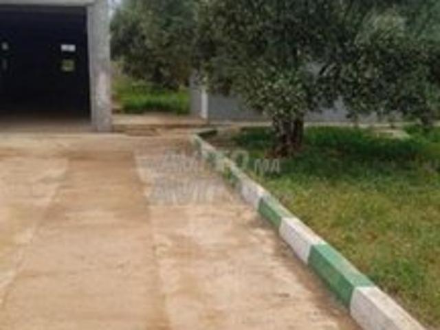 Propriété vente à Ain Cheggag