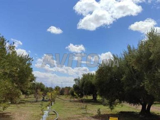 Propriété vente à Anfa, Gharb-Chrarda-Beni Hssen