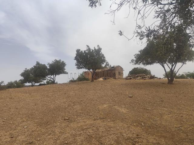 Ferme vente à Khémisset