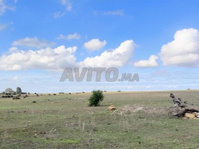 Propriété vente à Had Soualem, Gharb-Chrarda-Beni Hssen