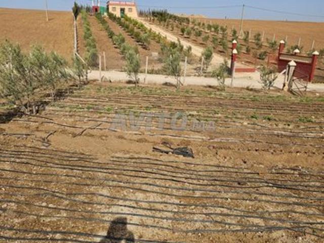 Propriété vente à Ben Ahmed, Gharb-Chrarda-Beni Hssen