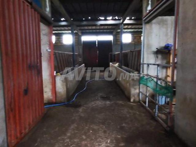 Propriété vente à El Ma, Gharb-Chrarda-Beni Hssen