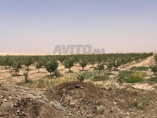 Propriété vente à Aghbalou
