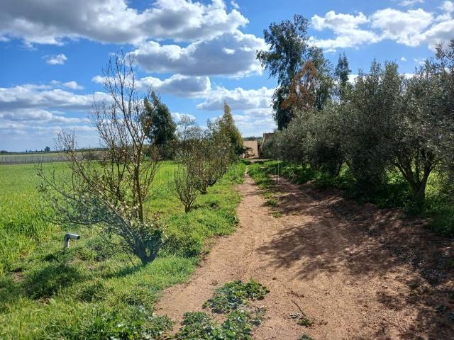 Ferme vente à Khémisset