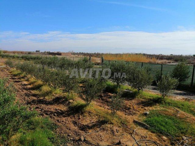 Propriété vente à Loudaya, L'Oriental