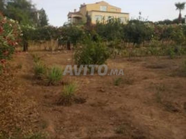 Propriété vente à Slimane, Gharb-Chrarda-Beni Hssen