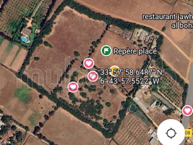 Ferme vente à Salé