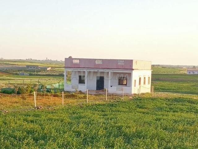 Propriété vente à El Ma, Gharb-Chrarda-Beni Hssen