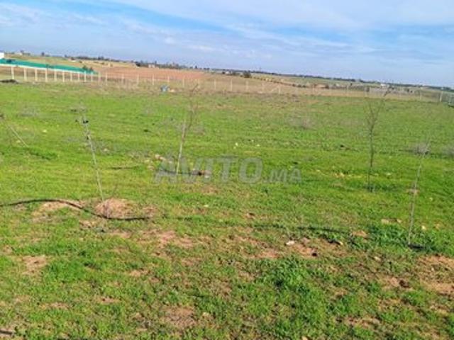 Propriété vente à Sidi Allal El Bahraoui