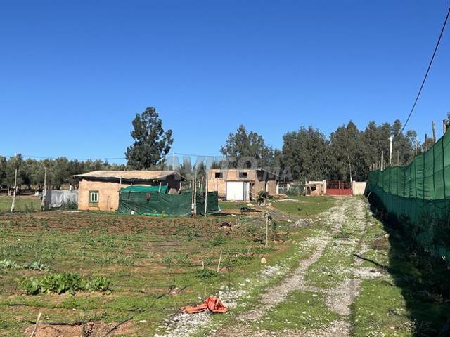 Propriété vente à Sidi Allal El Bahraoui
