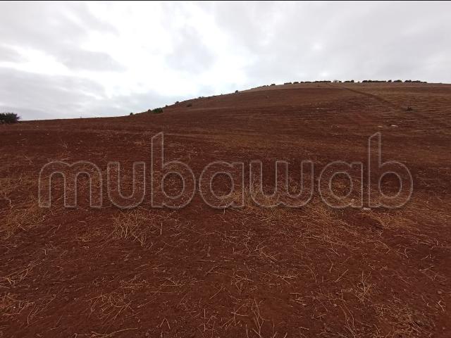 Appartement vente à Slimane, Gharb-Chrarda-Beni Hssen