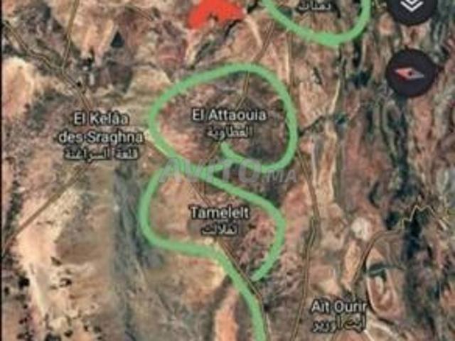 Propriété vente à Laattaouia, L'Oriental