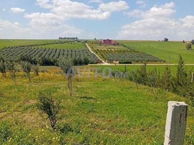 Propriété vente à Anfa, Gharb-Chrarda-Beni Hssen