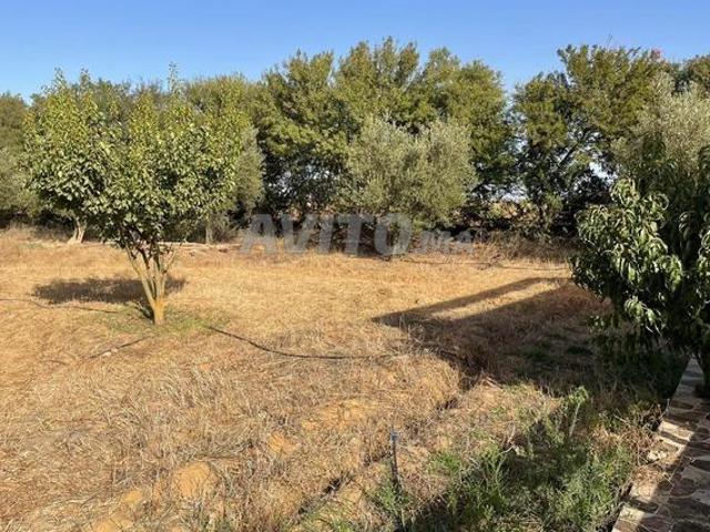 Propriété vente à Agadir, Oued ed Dahab-Lagouira