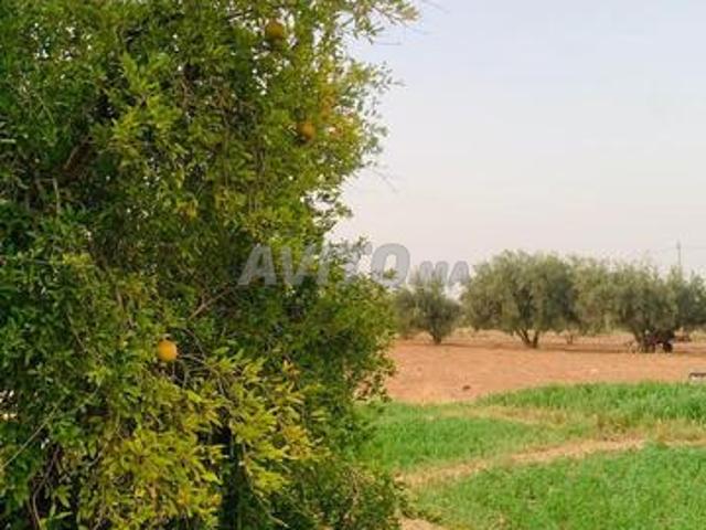 Propriété vente à Fès