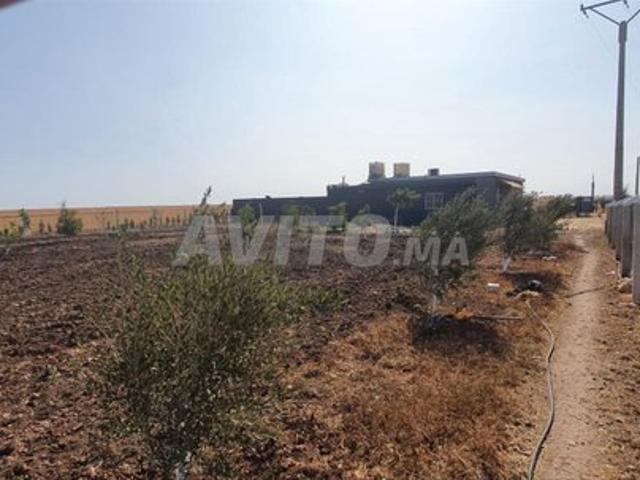 Propriété vente à Settat, Gharb-Chrarda-Beni Hssen