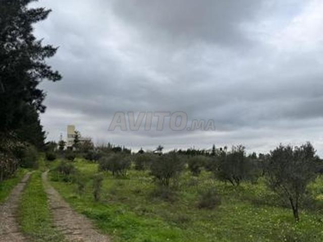 Propriété vente à Sidi Allal El Bahraoui