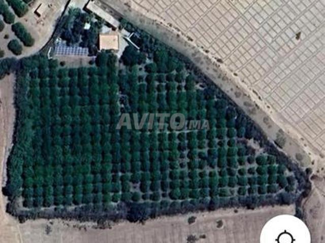 Propriété vente à L'Oriental
