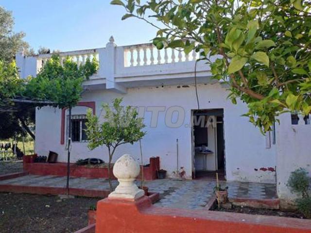 Propriété vente à Tétouan, Tanger-Tétouan