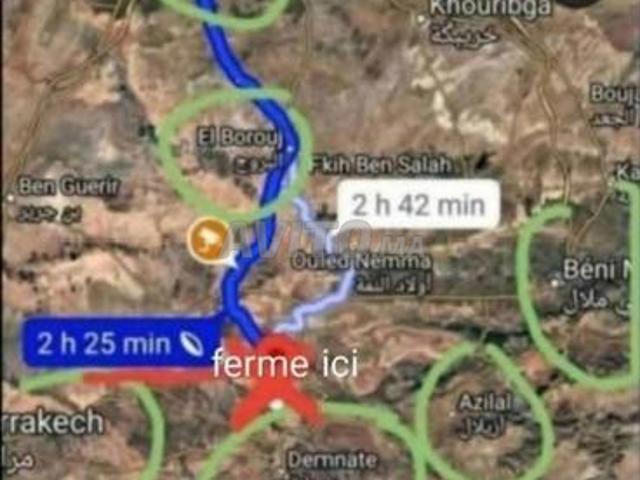Propriété vente à Laattaouia, L'Oriental