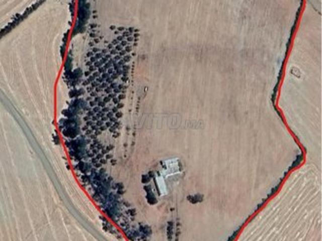 Propriété vente à Sidi Bettach, Gharb-Chrarda-Beni Hssen