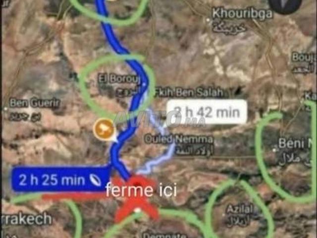 Propriété vente à Laattaouia, L'Oriental