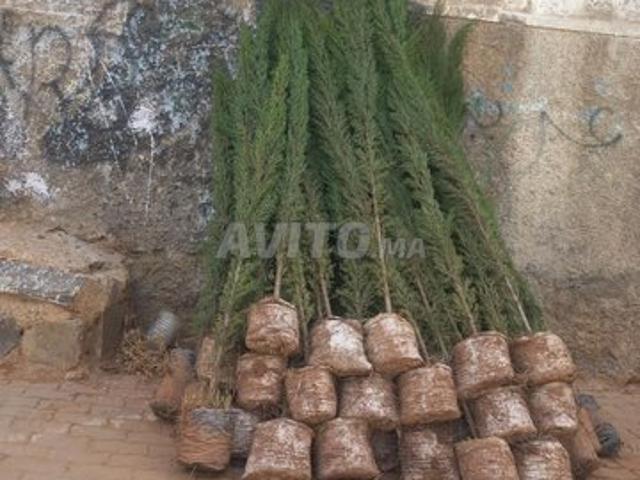 Propriété vente à Oued Zem