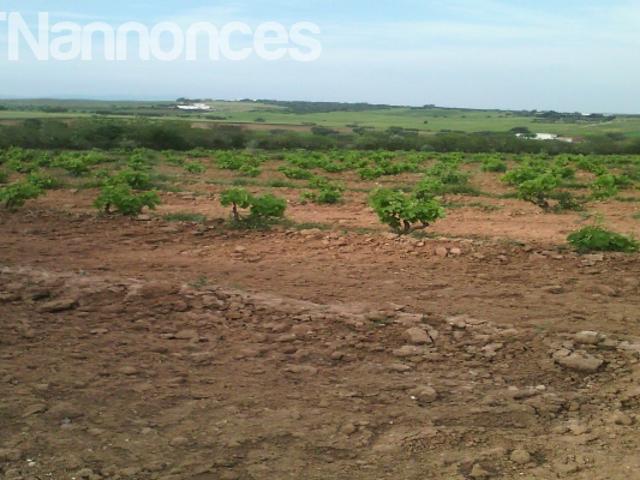 Terrain vente
