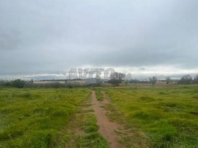 Propriété vente à Sahel Oulad H'riz, Gharb-Chrarda-Beni Hssen