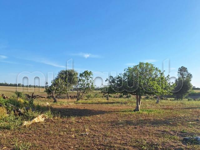 Ferme vente à Ait Malek
