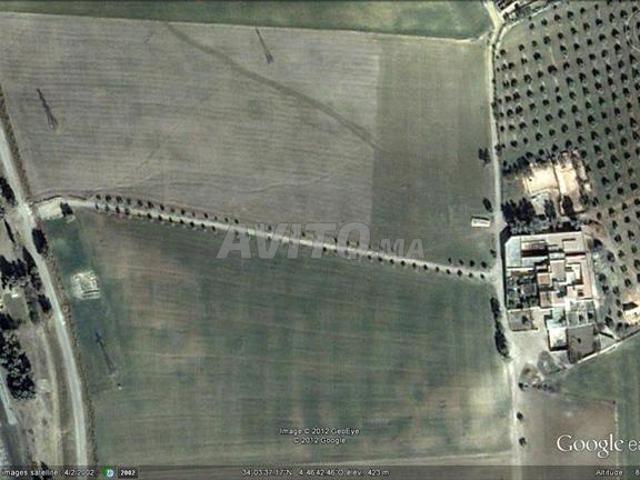 Propriété vente à Ain Marchouch