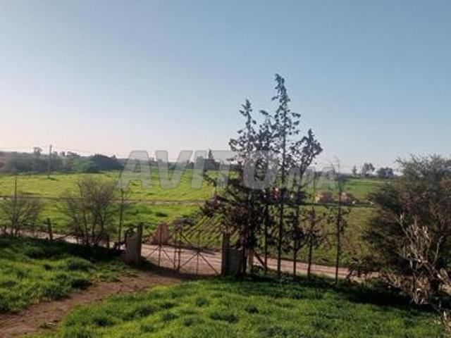 Propriété vente à Oued Zem