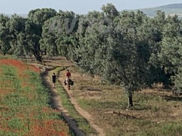 Propriété location à Meknès