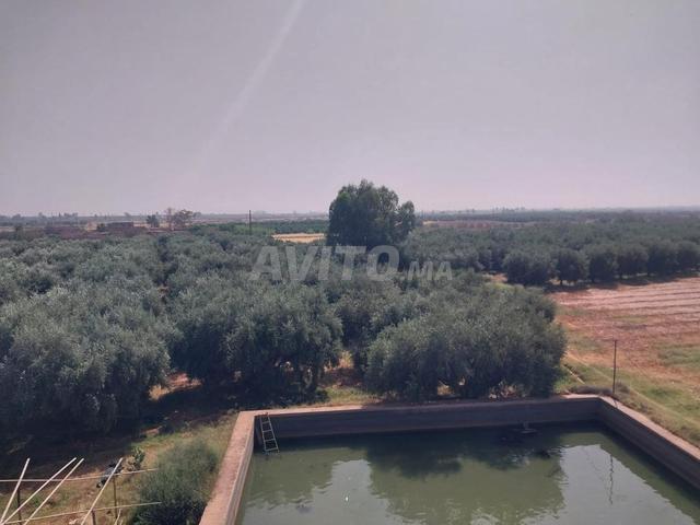 Propriété vente à Ouarzazate