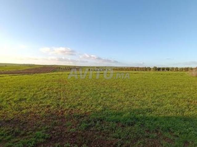 Propriété vente à Khouribga