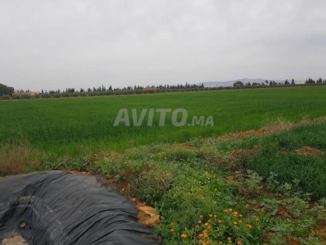 Propriété vente à Meknès