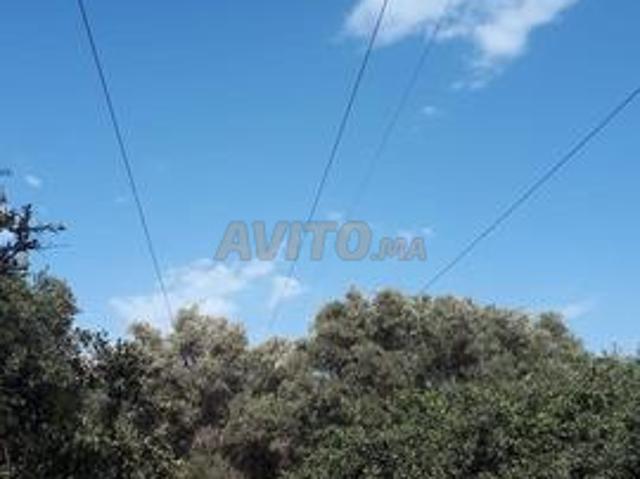 Propriété vente à Ouled, Oued ed Dahab-Lagouira