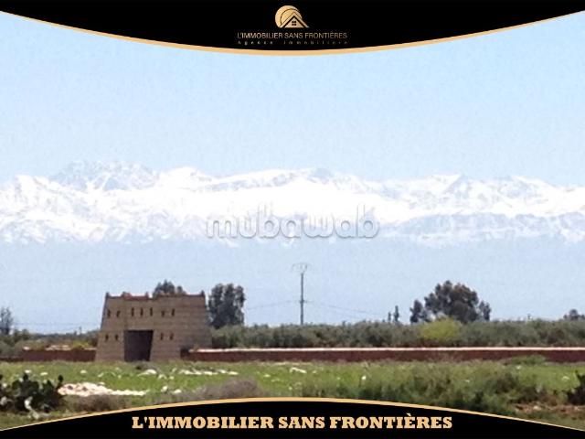 Ferme vente à Marrakech, L'Oriental
