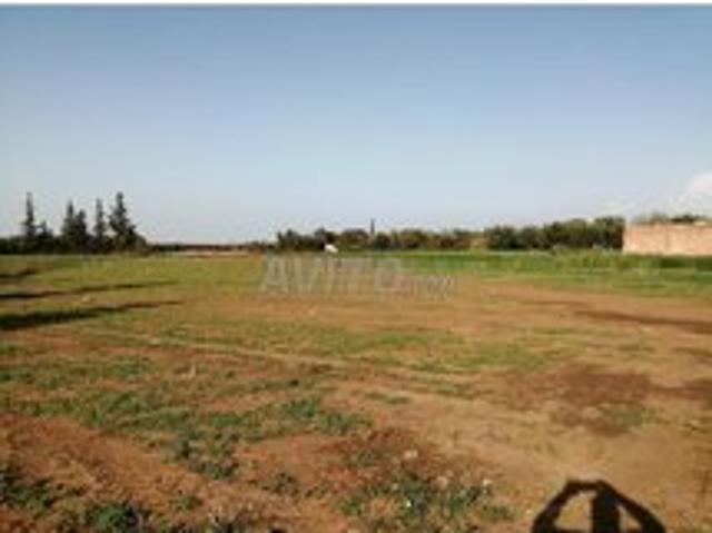 Propriété vente à Mellal