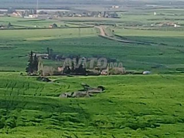 Propriété vente à Meknès